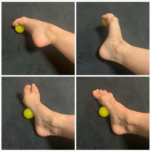 95838896_2741142239328408_5026065545477226496_n